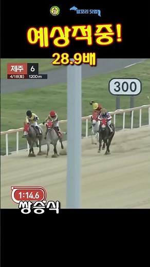 말꼬리 AI경마 예상적중! 28.9배 4월18일 제주6경주 쌍승식 #ai경마 #경마예상#경마 #경마예상지