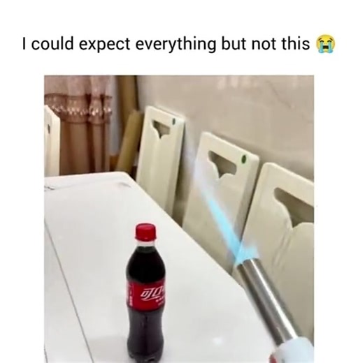 Funny TikTok Clips to Brighten Your Day