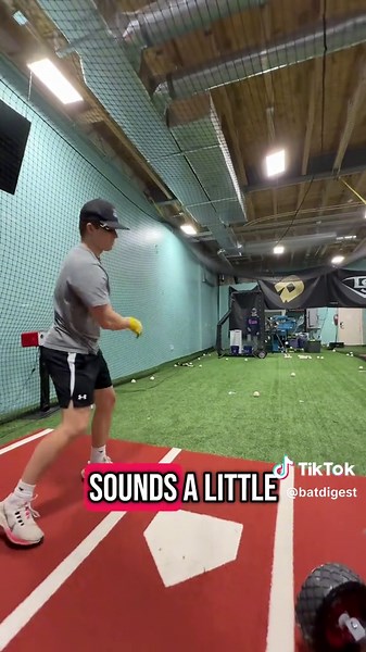 Guess the Right Composite Bat in Five Swings