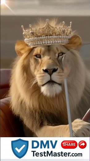 🍊 FLORIDA DMV TEST. DMVTestMaster.com The Best.