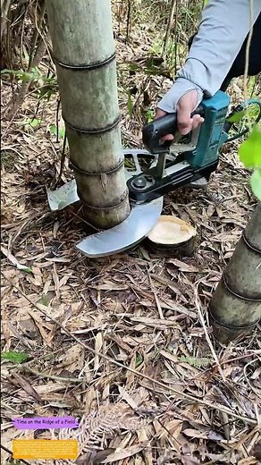 Cutting Bamboo Like Butter: How a Rotary Cutter Makes Farm Maintenance Easier