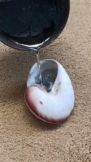 Amazing Aluminum Snail Egg Art: Transforming Scrap Metal into Masterpieces #shorts #viralvideo #art