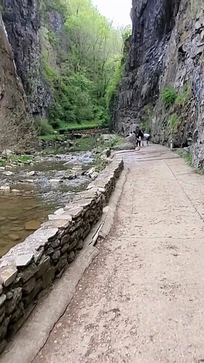 This 100 foot natural bridge is a very family friendly place to explore in Virginia. Location in comments. #naturelovers #beautifuldestinations #ScenicViews #adventuretravel | The Nature Seeker