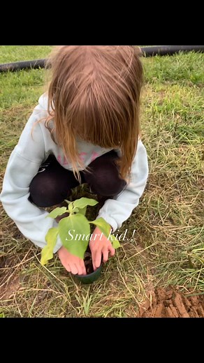 Brandon Collins on Reels