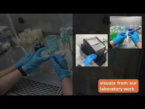 Effects of Halophilic PGPR on Salt Stress and Growth Parameters in Tomato Plants-555