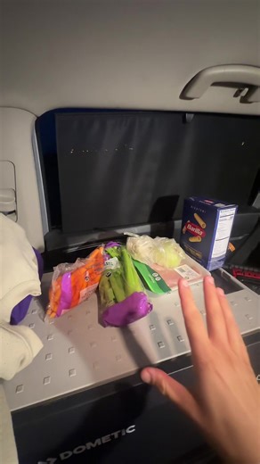 Cooking in a Vehicle: Creative Mobile Kitchen Setup