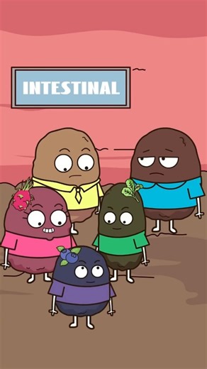 THE VITAL SIGNS on Instagram: "Why Your Poop Changes Color: The Rainbow Poop Guide Stool color reflects bile, transit time, and foods. Brown is normal; green often follows rapid transit or leafy greens; yellow suggests fat malabsorption; black may indicate upper GI bleeding or iron; red can be beets-or lower GI bleeding; pale/clay hints bile duct issues. Solutions: review recent foods, meds (iron, bismuth), and symptoms. Hydrate, increase fiber for regularity, and monitor for pain or fever. Seek