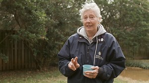 85K views · 5.7K reactions | Stanley crane Alice is unlike any other bird of her species. Hand-raised by keepers, she has a sweet temperament and joyous personality. When she sustained a leg injury last summer, animal care staff rallied around Alice and found an innovative solution to help her thrive. Keeper Debi Talbott shares the remarkable story of Alice's road to recovery. ✏️STORY: https://s.si.edu/2PZuIKw. | Smithsonian’s National Zoo and Conservation Biology Institute | Facebook