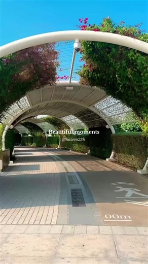 Capturing Beautiful Moments in Aesthetic Photography