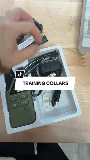 Effective Dog Training Collars for Easy Training