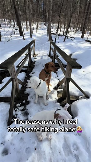 The Truth About Hiking Alone with Dogs