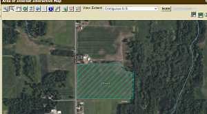 Christmas trees 101: Site selection and modifications