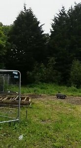 2.2K views · 34 reactions | Come rain or shine☀️ the cogs at Scream Factory continue to turn. Our crew are working around the clock to bring you a memorable night you won’t forget in a hurry with family and friends. Can you spot another MASSIVE change to this years event?! Book your tickets early to savenow: https://screamfactory.co.uk | Scream Factory | Facebook