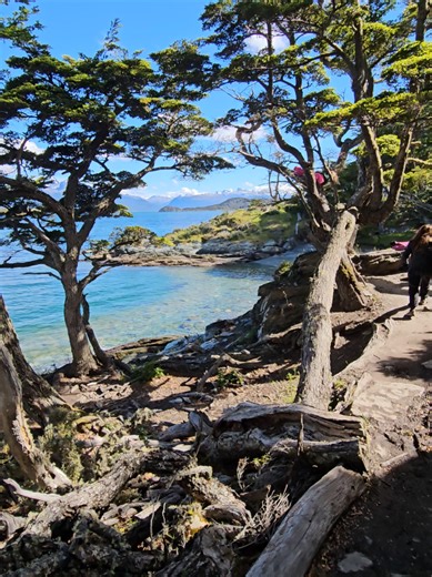 Parque Nacional Tierra del Fuego: Naturaleza Asombrosa