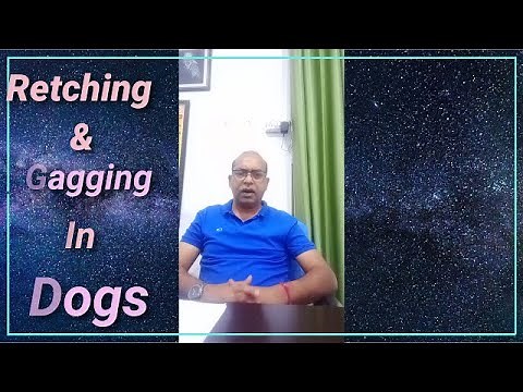 Know about Retching & Gagging in Dogs