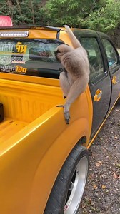 19K views · 372 reactions | New car alarm  | Master, Wendell | Facebook