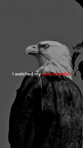 Sigma mindset 🗿 #sigma #mindset #fyp