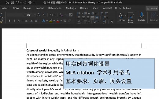 03 MLA Citation 实际操作