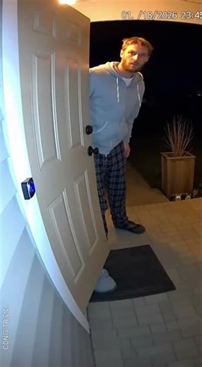 One Cat Pressed the Doorbell… Then This Happened 😹📹