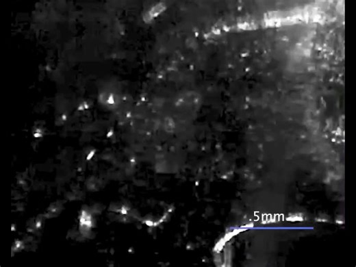 Universal law of quantum vortex dynamics discovered in superfluid helium