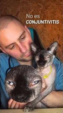 🐱 Does your cat have a protruding third eyelid? #veterinary #cats