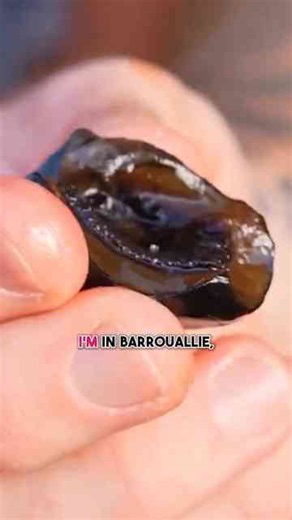 Exploring black fish and the debate about eating whale 🇻🇨