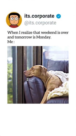 It's Corporate | Tag your corporate friends...😂 #corporatememes #corporate #officememes #corporatelife #lifeatcorporate #officememes #officehumor... | Instagram