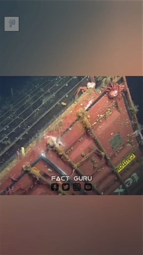 42/100 :- iPhone container #shorts #ytshorts