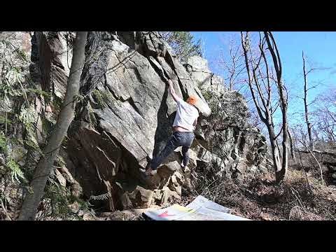 Bone Collector (V8)