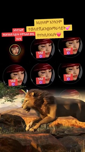 ‏Dive into the LIVE highlight! 🔥 @አማራሳይት💕የተከሲስ እህት❤