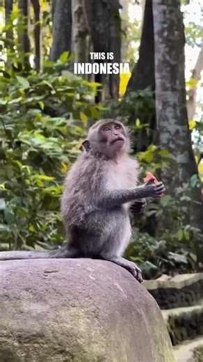 These are just glimpses Indonesia’s wonders. Ready to create memories here?