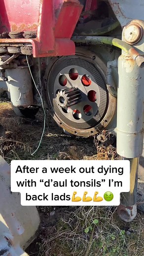 Saturday Bants with Massey Ferguson 2640 Dismantling