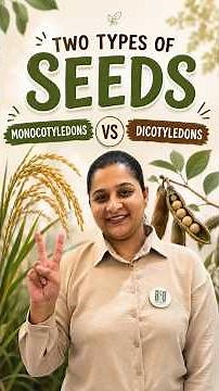 Monocotyledons vs Dicotyledons 🌱 | Two Types of Seeds Explained in 5 Minutes | Class 6–10 Science