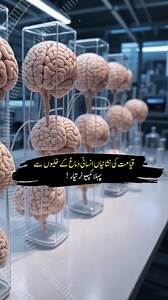 1.4M views · 35K reactions | Human Brain is Used in this computer #technology #fblifestyle #australia #urdu #hindi | Viral in Pakistan Media | Facebook