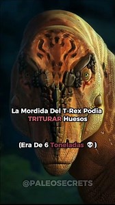 Las criaturas más aterradoras de la prehistoria 🦖🌊
