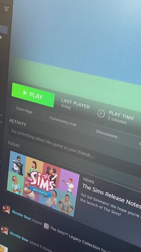 The Sims Game Crash: A Player's Frustration