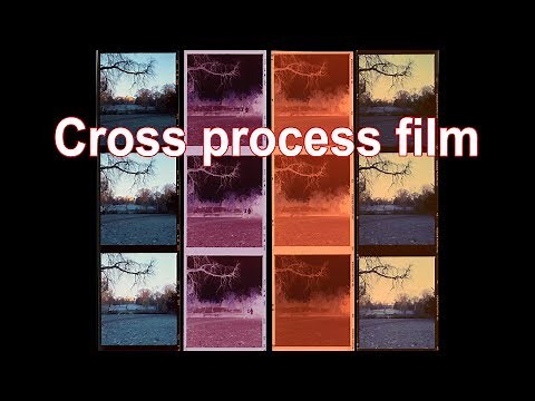 Cross process film from The Darkroom, Cheltenham