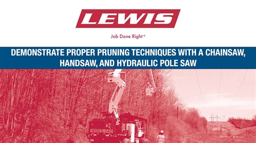 13-2.5.3 Demonstrate proper pruning techniques with a chainsaw, handsaw, and hydraulic pole saw