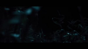 The Maze Runner Trailer