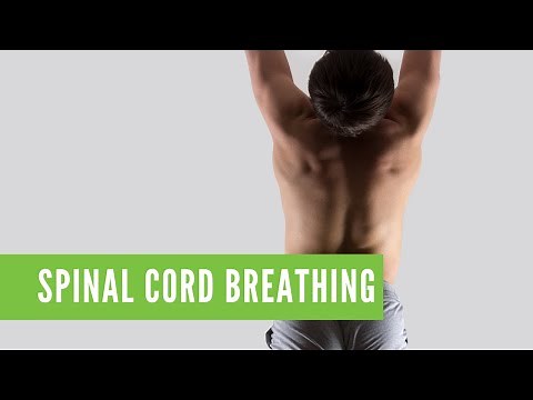 Spinal Cord Breathing
