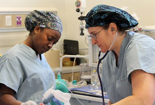How to Become a CRNA or CAA in Florida »  Department of Anesthesiology » College of Medicine » University of Florida