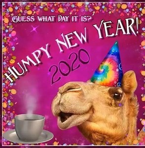 336K views · 8.2K reactions | ☕•*""*•. 헚헶헳혀 & 헩헶헱혀 험혁헰.•*""*☕ | Gifs, Vids & Music Etc | Facebook