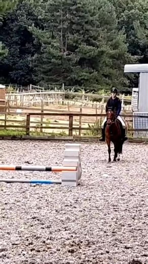 Freya (Taylor’s version) on TikTok