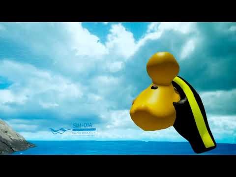 Subside Underwater swimming in Virtual Reality
