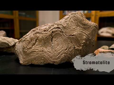 The Great Unconformity