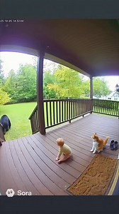 99K views · 968 reactions | Smart Garden on Reels | Facebook