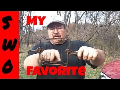 Traps I Use to Catch Raccoons