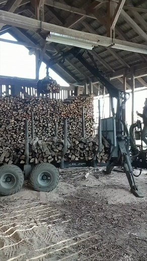 #logeren #palms #newholland #loggingislife #logerslife #foresta #xyzbca #logs #logers #krpan #loger