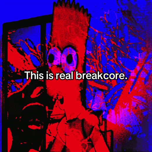 #breakcore #glitchcore #idm #speedcore #fyp | breakcore