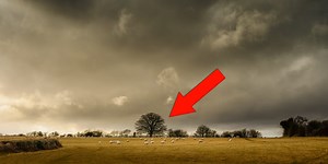 An expert navigator explains how to tell the exact time it will begin to rain